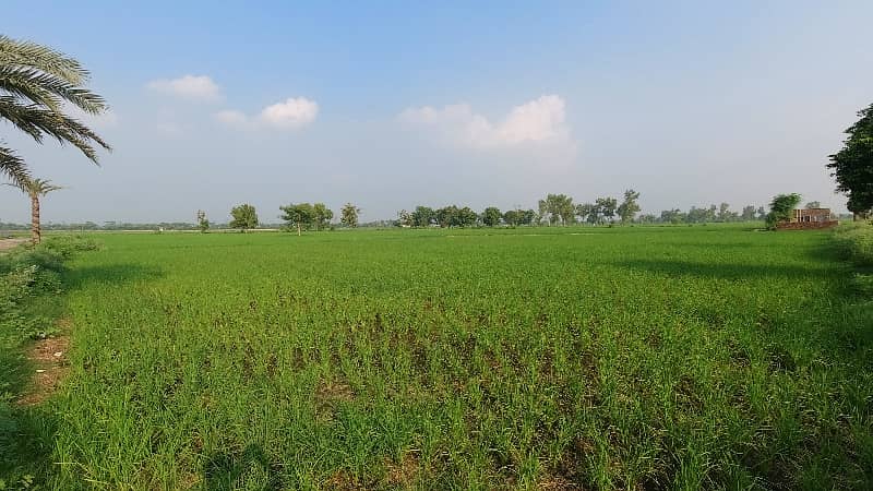 3.5 Kanal Land For Farm House Bedian Road Qutab Shah For Sale 8