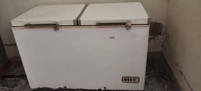 Dual door freezer