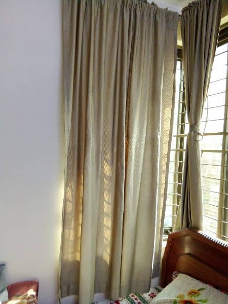 Golden 3 curtain 9 ft for sale 3