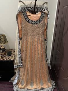 bridal dress/walima dress/Maci/maxi/frock/bride walima suit