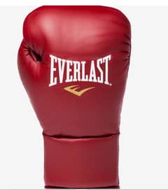 orignal EVERLAST punching bag,boxing gloves,chain Old and new availabe 0