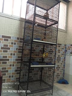 birds cage