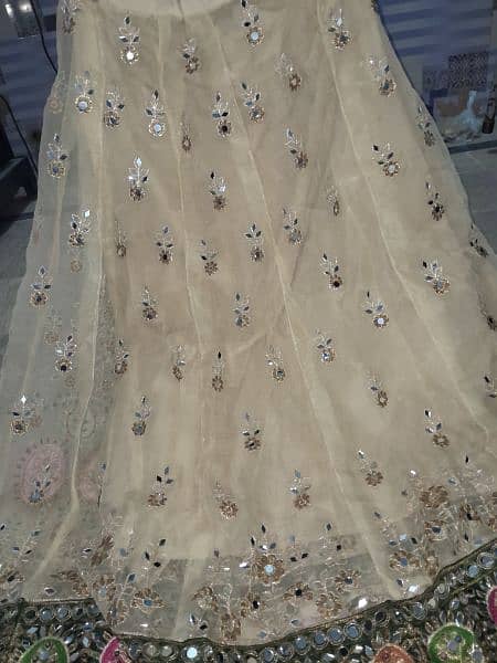 Mirror work Lehnga Set 5