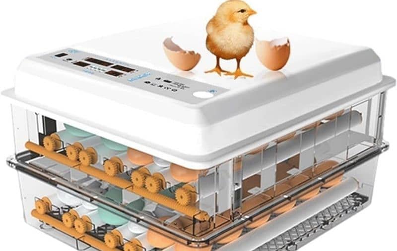 AC & DC incubator|Automatic Incubator | Eggs Hatching Machi | Brooder/ 8