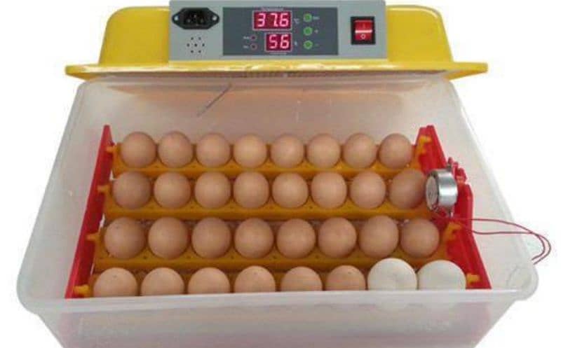 AC & DC incubator|Automatic Incubator | Eggs Hatching Machi | Brooder/ 1