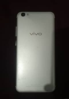 vivo5