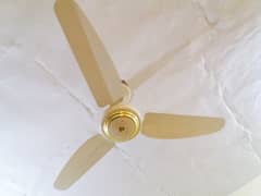 12 fans for sell new condition 0