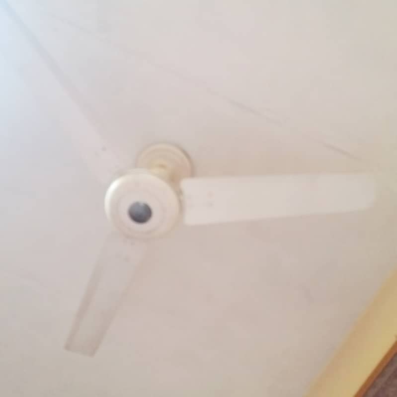 12 fans for sell new condition 1