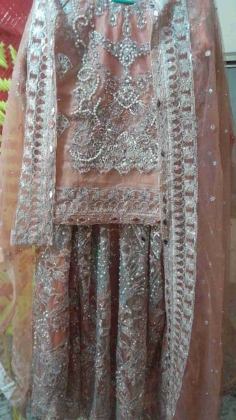 Beautifull and gorgeious Lehnga for wedding 5