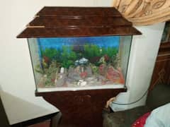 Fish aquarium for sale with all accessories