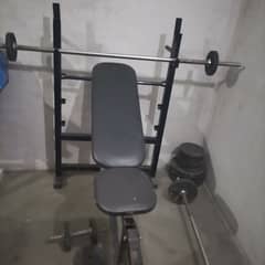 Bench press with two dumbells and 2 bars with 100 kg of weight plates