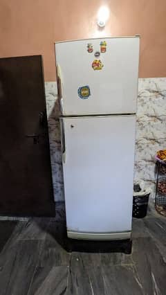 PEL Fridge, Refrigerator