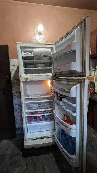 PEL Fridge, Refrigerator 2