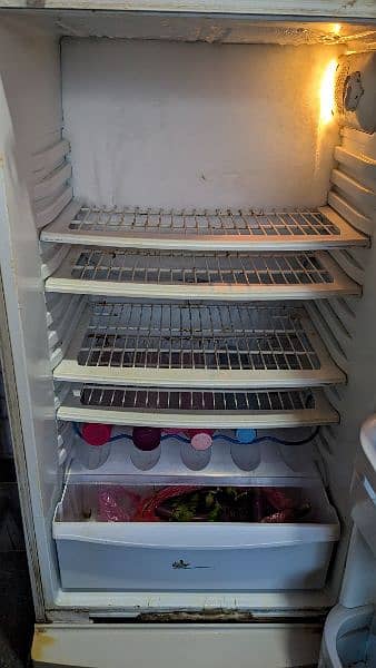 PEL Fridge, Refrigerator 3