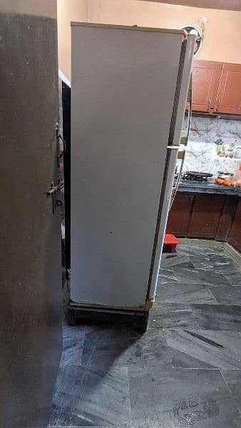 PEL Fridge, Refrigerator 5