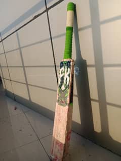 English willow FK bat