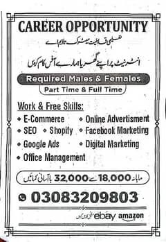 jobs opportunities