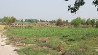 2.5 Acres Commercial/Agricultural Land On Main Expressway Faisalabad 0