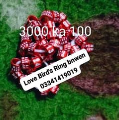 Top Quality Lovebirds Aluminum Birds Rings 0