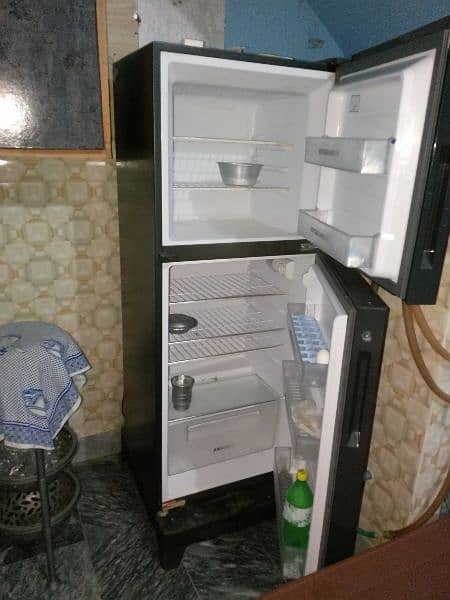 Hair refrigerator medium size fridge 3