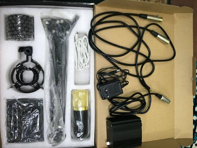 BM 800 condenser Mic 1