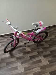 Pink Bicycle for Girls