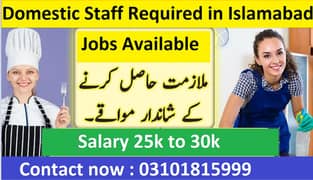 Domestic Staff Required in Islamabad  / Jobs Availabe / Staff Require