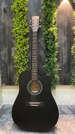 Washburn Acoustic Guitar