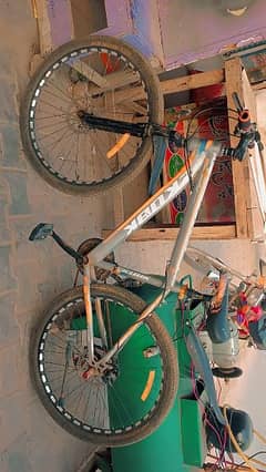 gear bicycle for seel