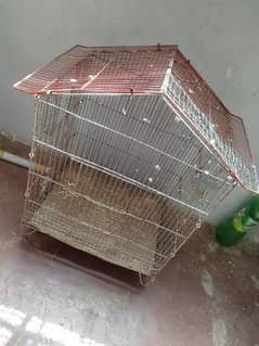 Birds Cage