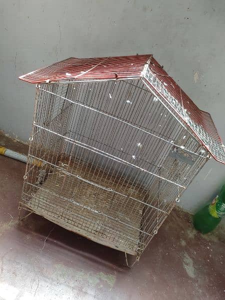 Birds Cage 1