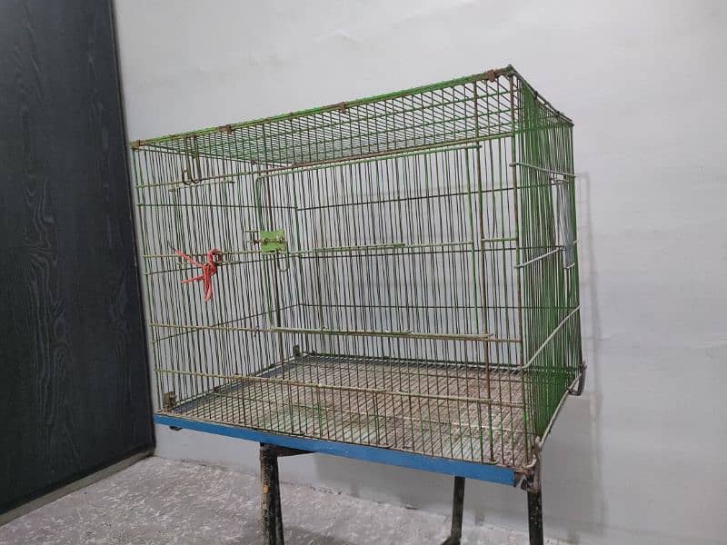 Birds Cage 7