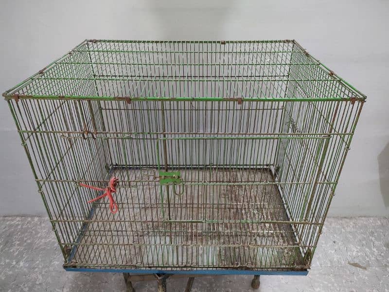 Birds Cage 10