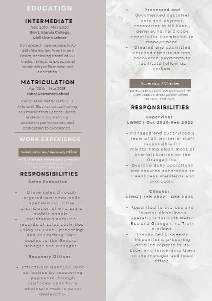 Professional Cv/Resume Maker 4