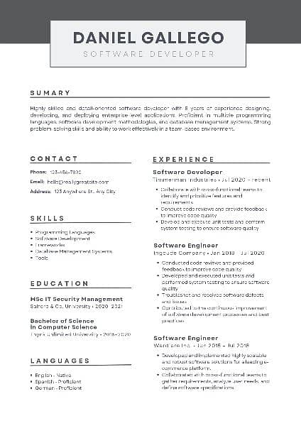 Professional Cv/Resume Maker 9