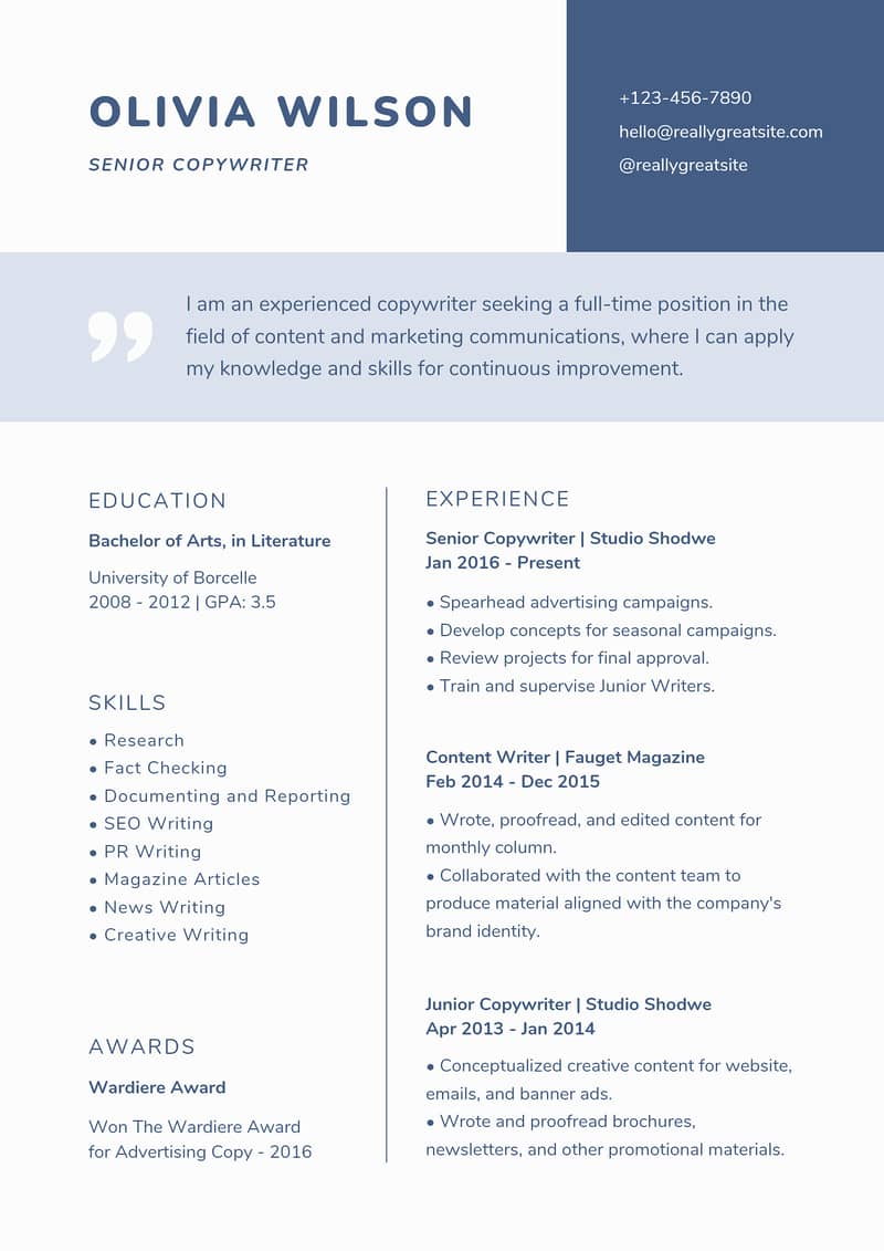 Professional Cv/Resume Maker 11