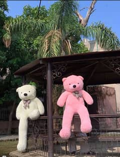 teady bear All size  available 03281122399 0