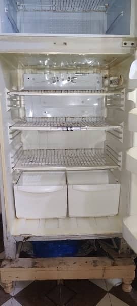 Pel refrigerator 1