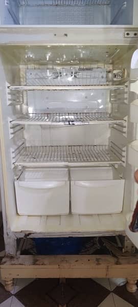 Pel refrigerator 4