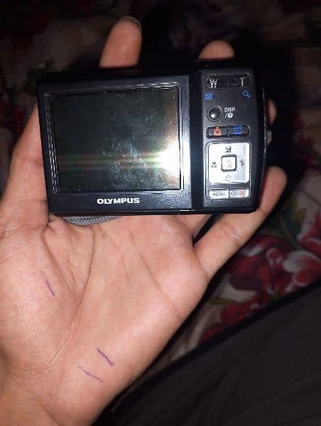 Olympus camera 1