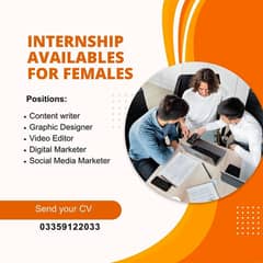 we are hiring interns