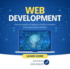 WEB DEVELOPER