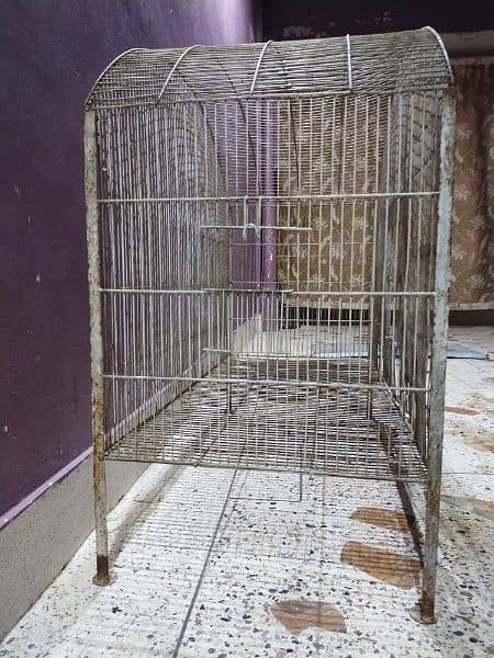 Cage pinjra 2