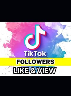 TikTok Facebook Instagram followers 0