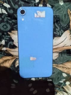 iPhone XR back 10 by 10 0