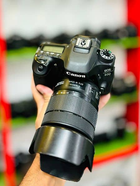 Canon 80D with 18-135mm IS USM Nano, STM 2