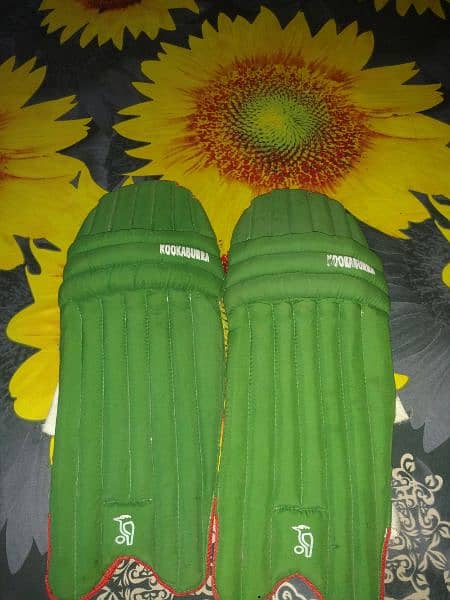 Cricket kit in good condition 7 to 11 years 3