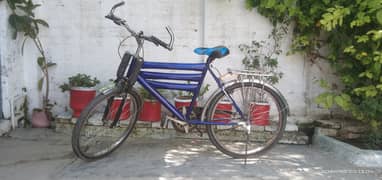 Cycle for sale