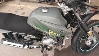 ybr125g 2023