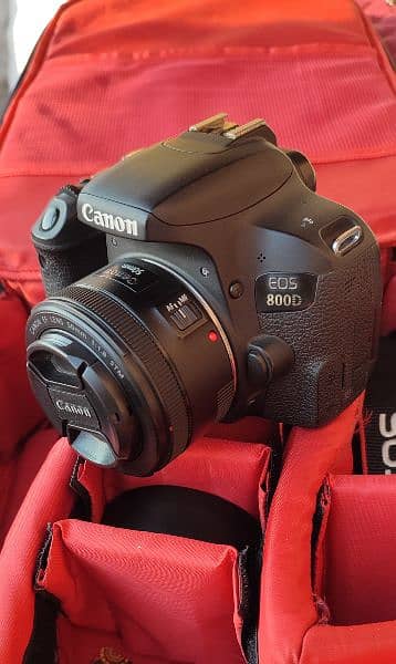 Canon 800d with 18-55 and 50mm STM Lens 9